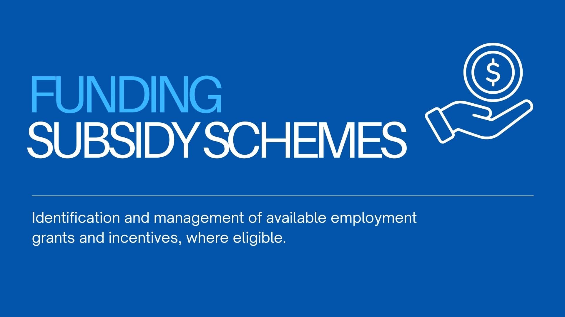 Funding Subsidy Schemes
